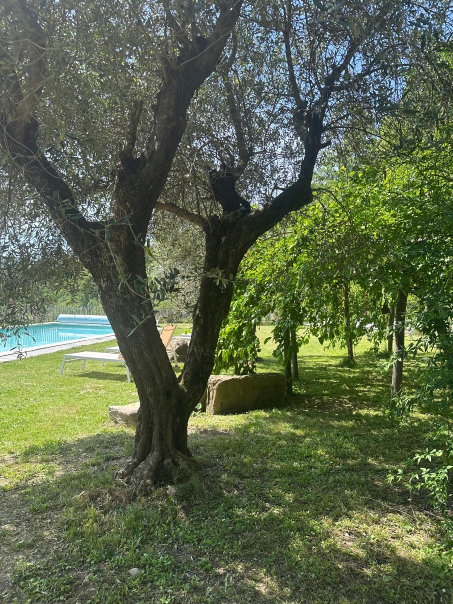 Collina Di Sopra Villa Tresana Luaran gambar