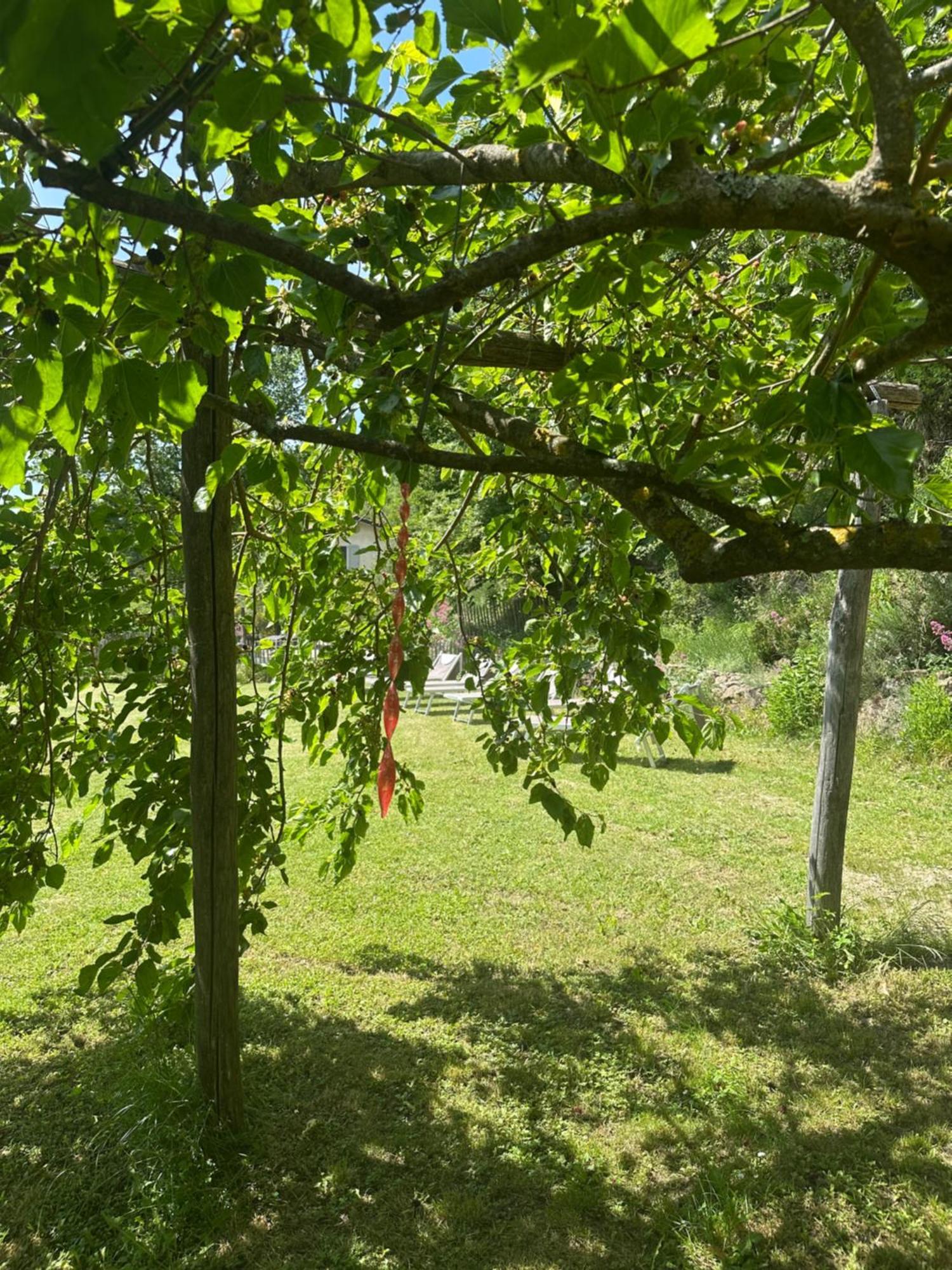 Collina Di Sopra Villa Tresana Luaran gambar